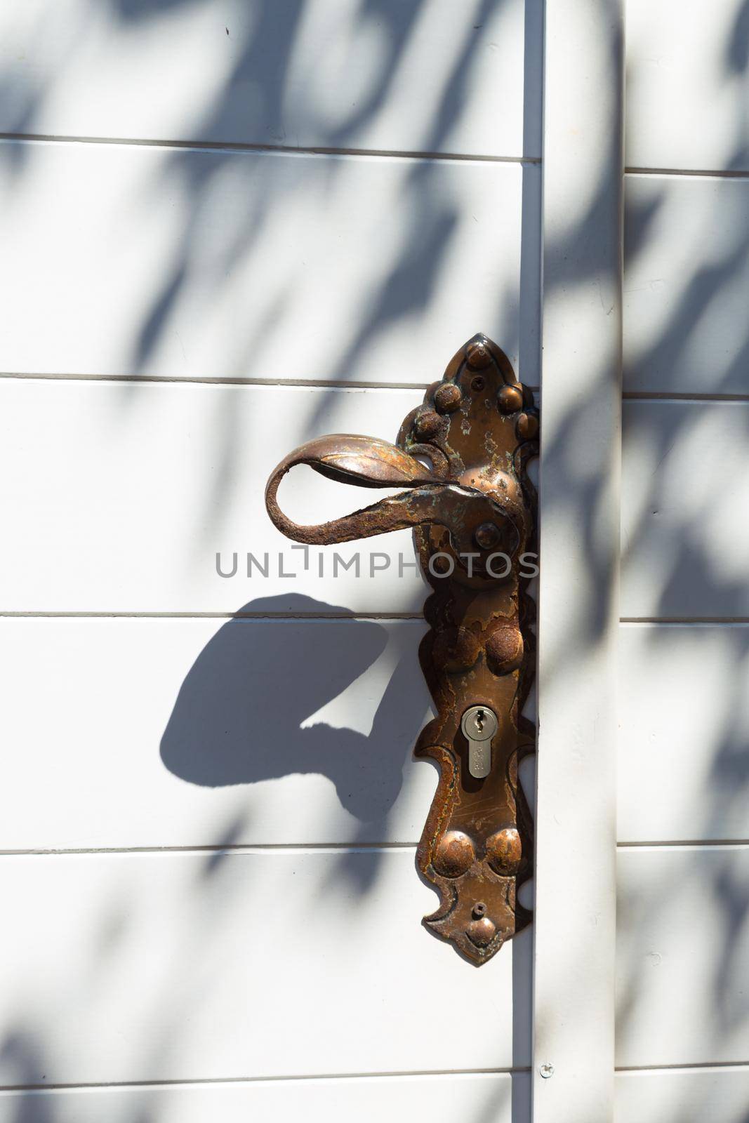 Traditional mediterranean background consisting of arhitectural detail of white wooden door with brass doorknob with olive tree shadow. by kasto