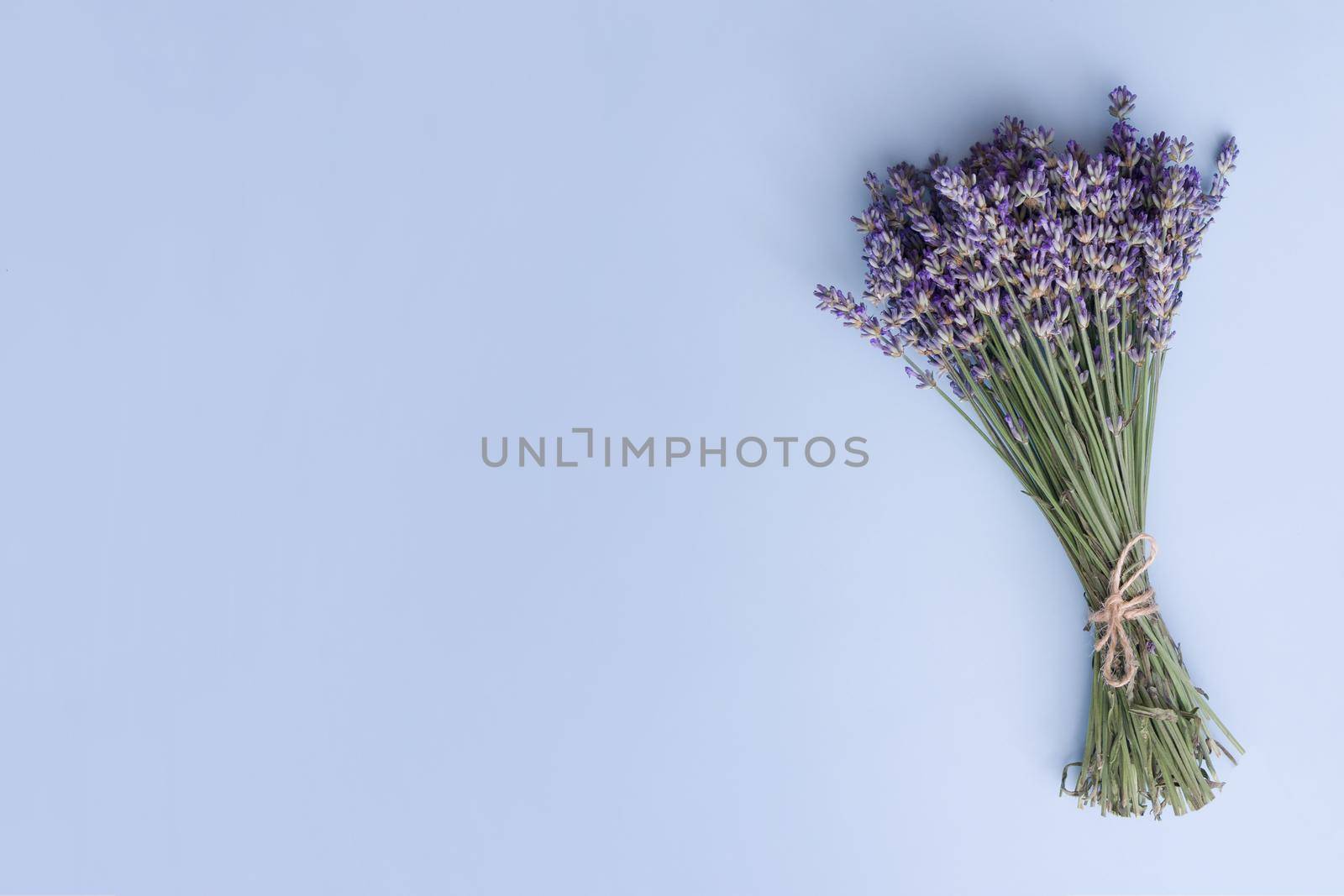 Top view lavender flowers in a bunch on a blue background. Summer, spring minimal concept with copy space. High quality photo