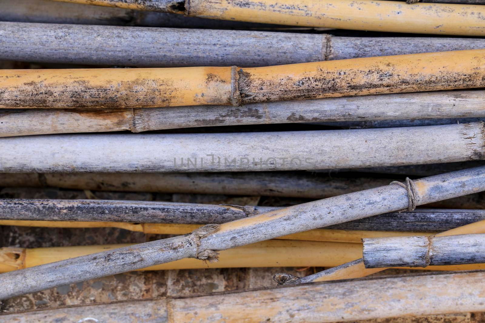 Background of dry reeds on the ground by soniabonet