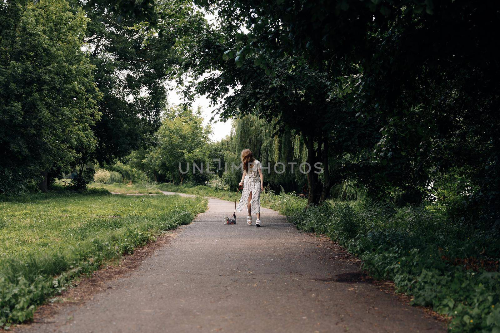 A young woman in a protective medical face mask walks with a Scottish Straight kitten in the park during the covidvirus covid-19 pandemic.