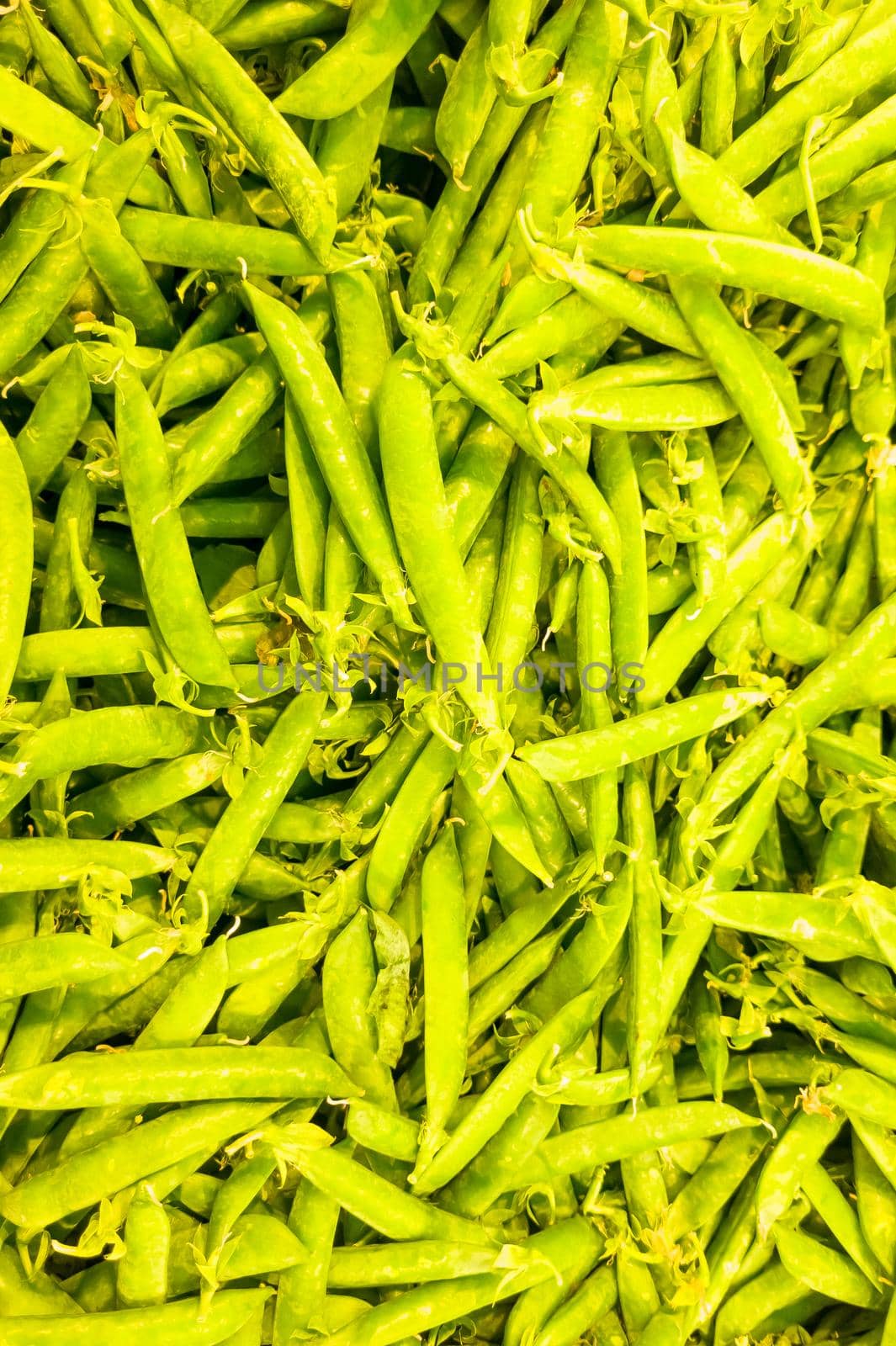 Fresh green beans on Paris farmer agricultural market by Milanchikov