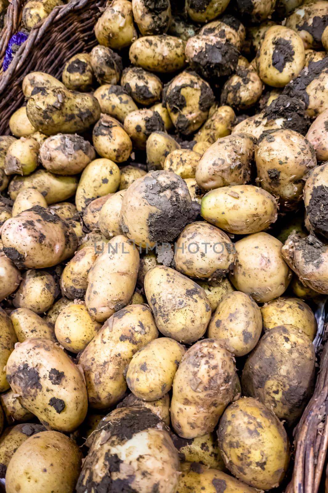 Fresh potatoes with soils for sale on the local market, natural organic vegetables background by Milanchikov