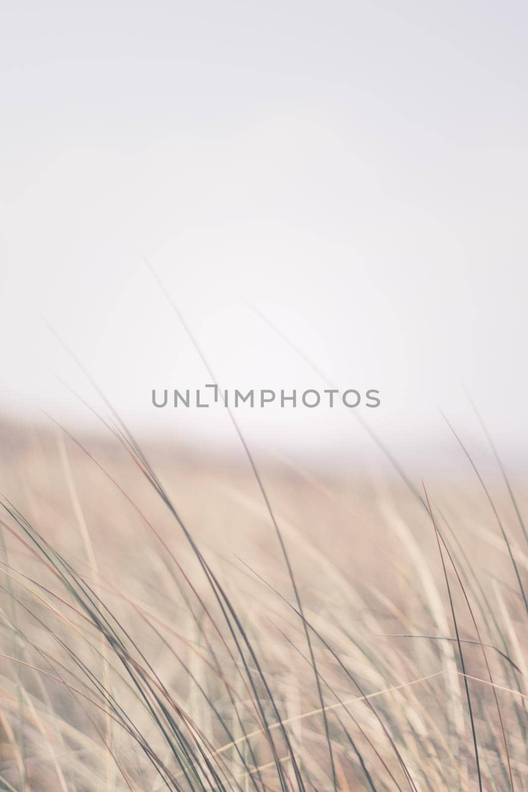 Nature background, environmental and agriculture concept - Rural field, a day in countryside