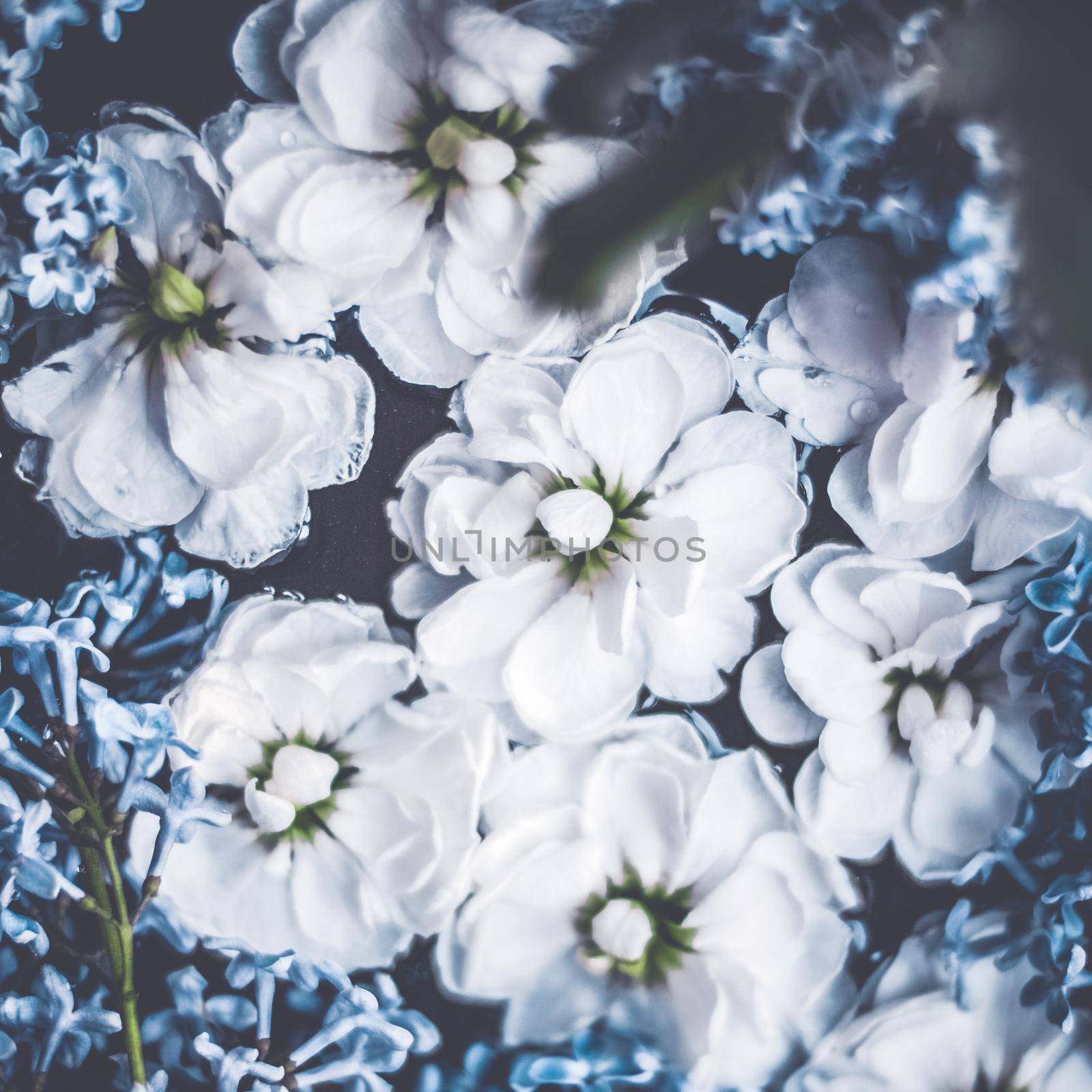 Botanical backdrop, nature and gardening concept - Vintage flowers in a dream garden, floral background