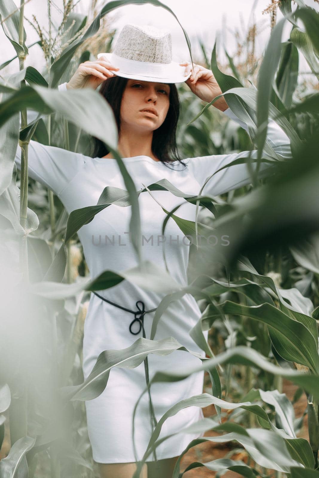 A brunette girl in a white dress in a cornfield. The concept of harvesting.