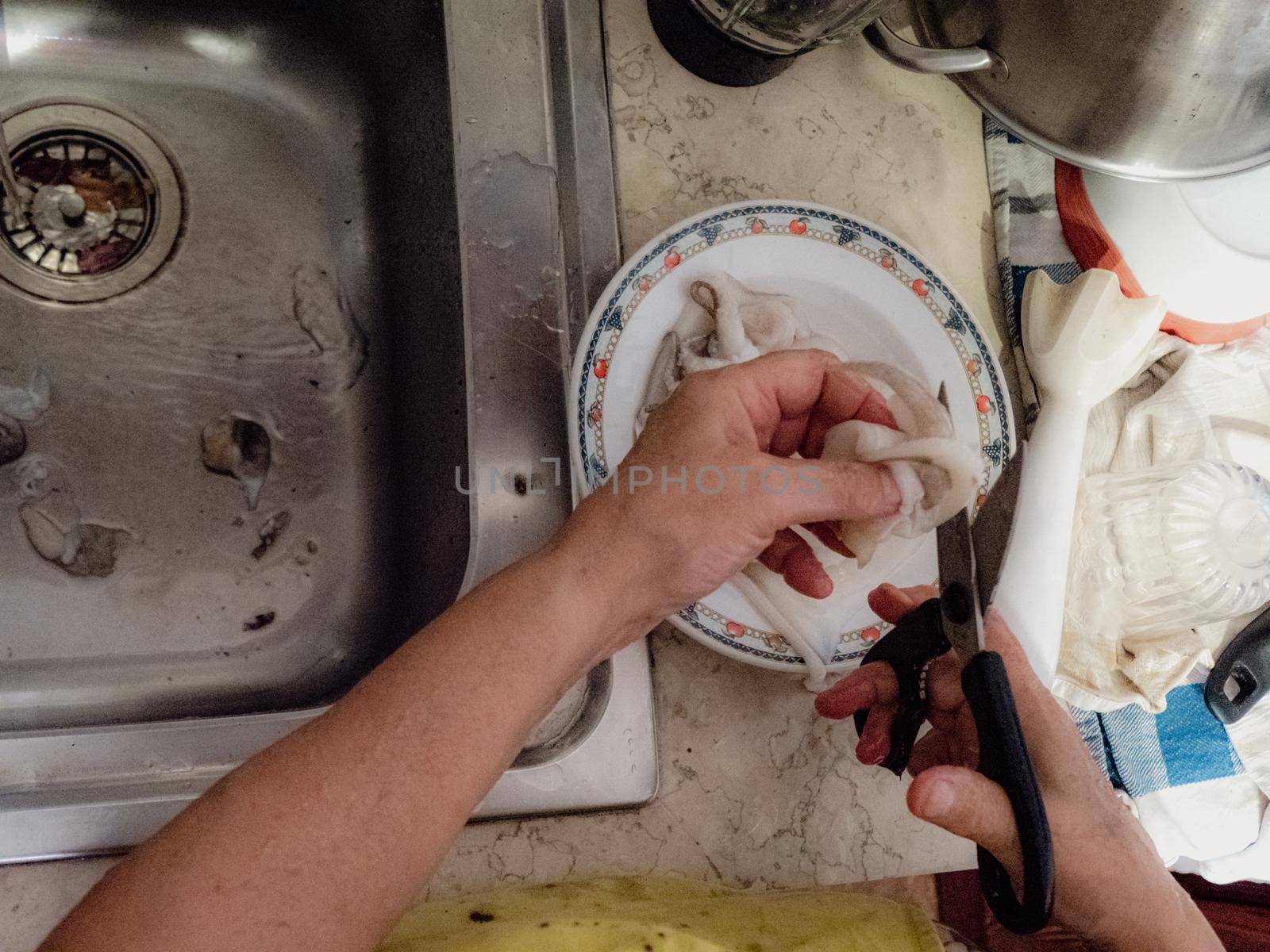 cleaning a raw adriatic cuttlefish at home in Numana, Marche, Italy