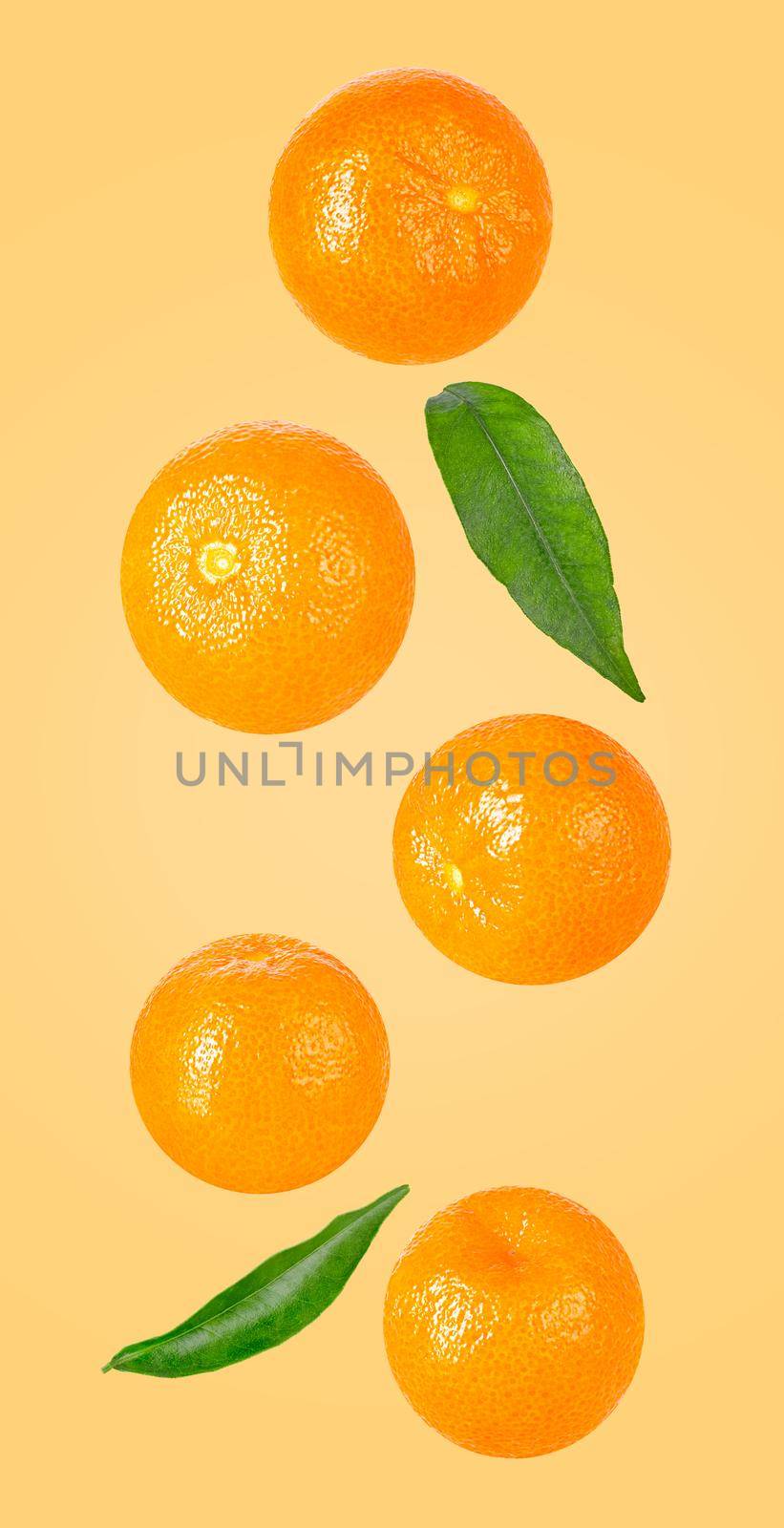 Isolated clementine fruits in the air on pastel colore background by Ciorba