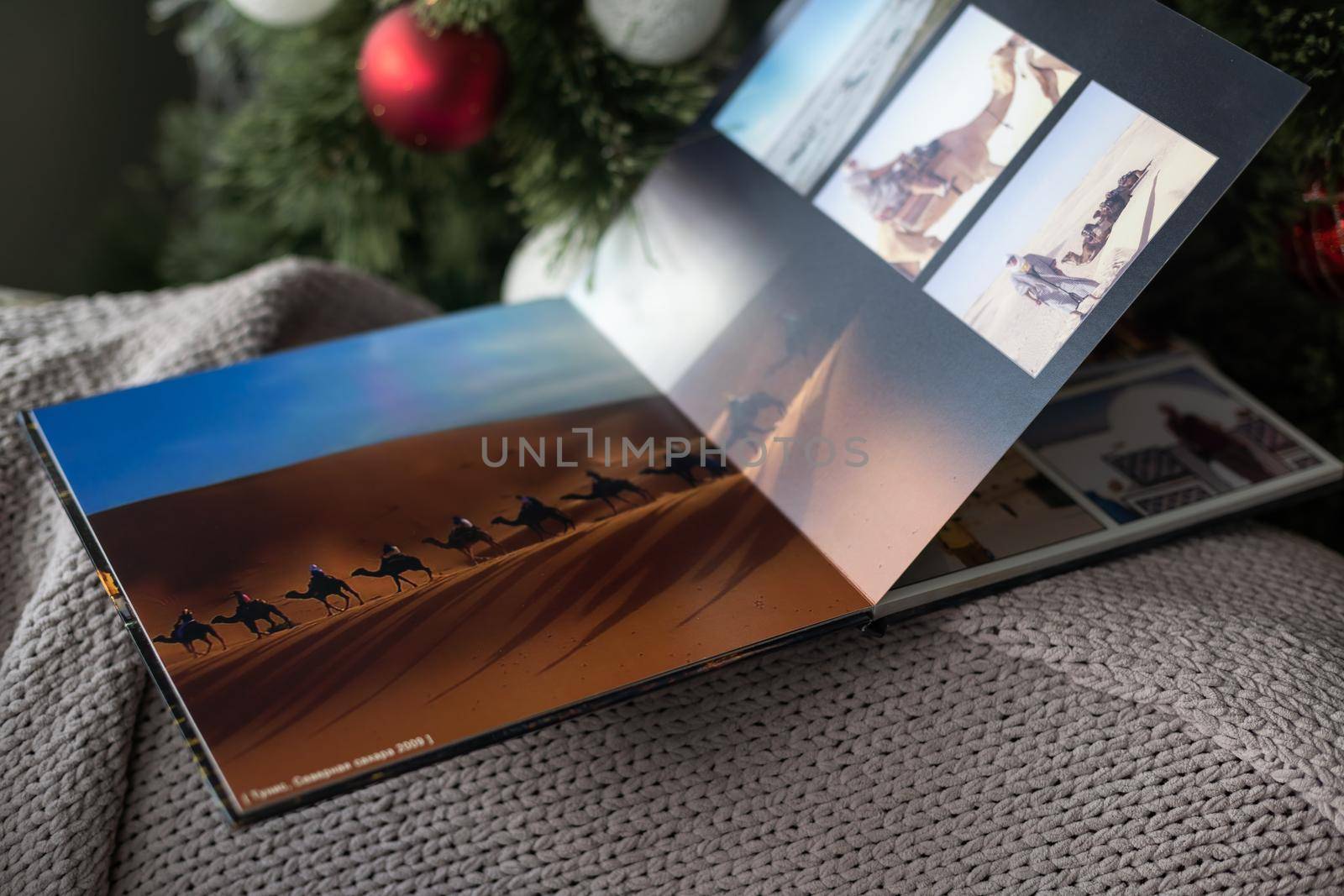 photo book about traveling near the Christmas tree by Andelov13