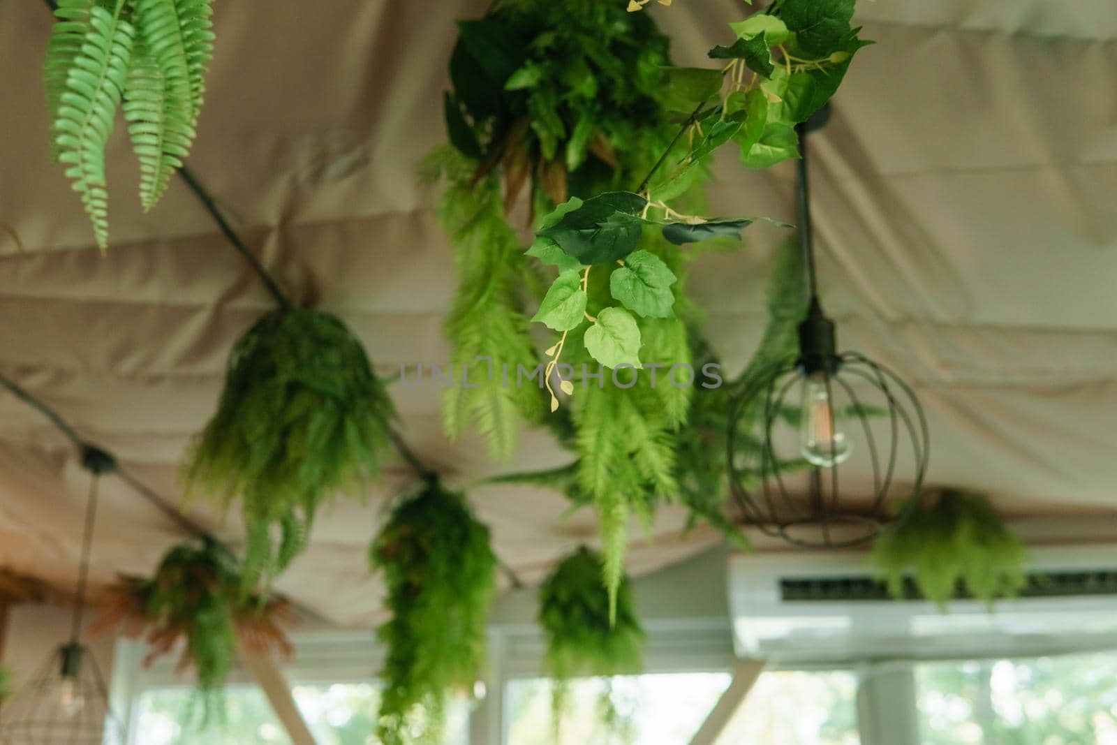 Cafe interior with elements of biophilic design. The ceiling is decorated with hanging indoor plants. The concept of biophilia.