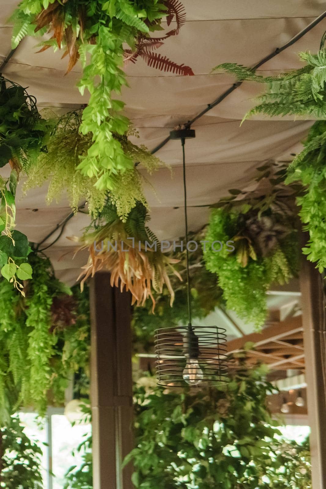 Cafe interior with elements of biophilic design. The ceiling is decorated with hanging indoor plants. The concept of biophilia.