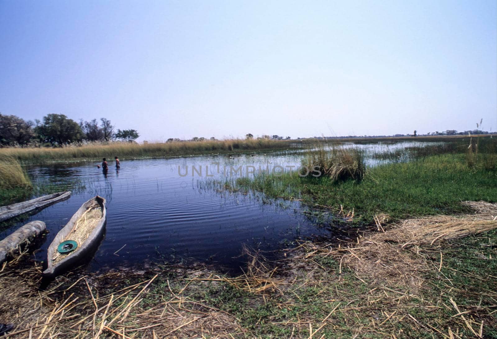 mokoro and tourist swiming in okavango delta, botswana