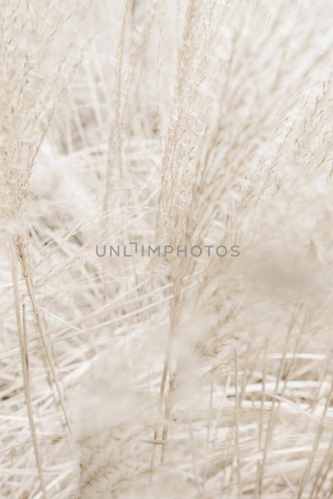 Beauty in nature, balanced lifestyle, environmental concept - Rustic autumn field