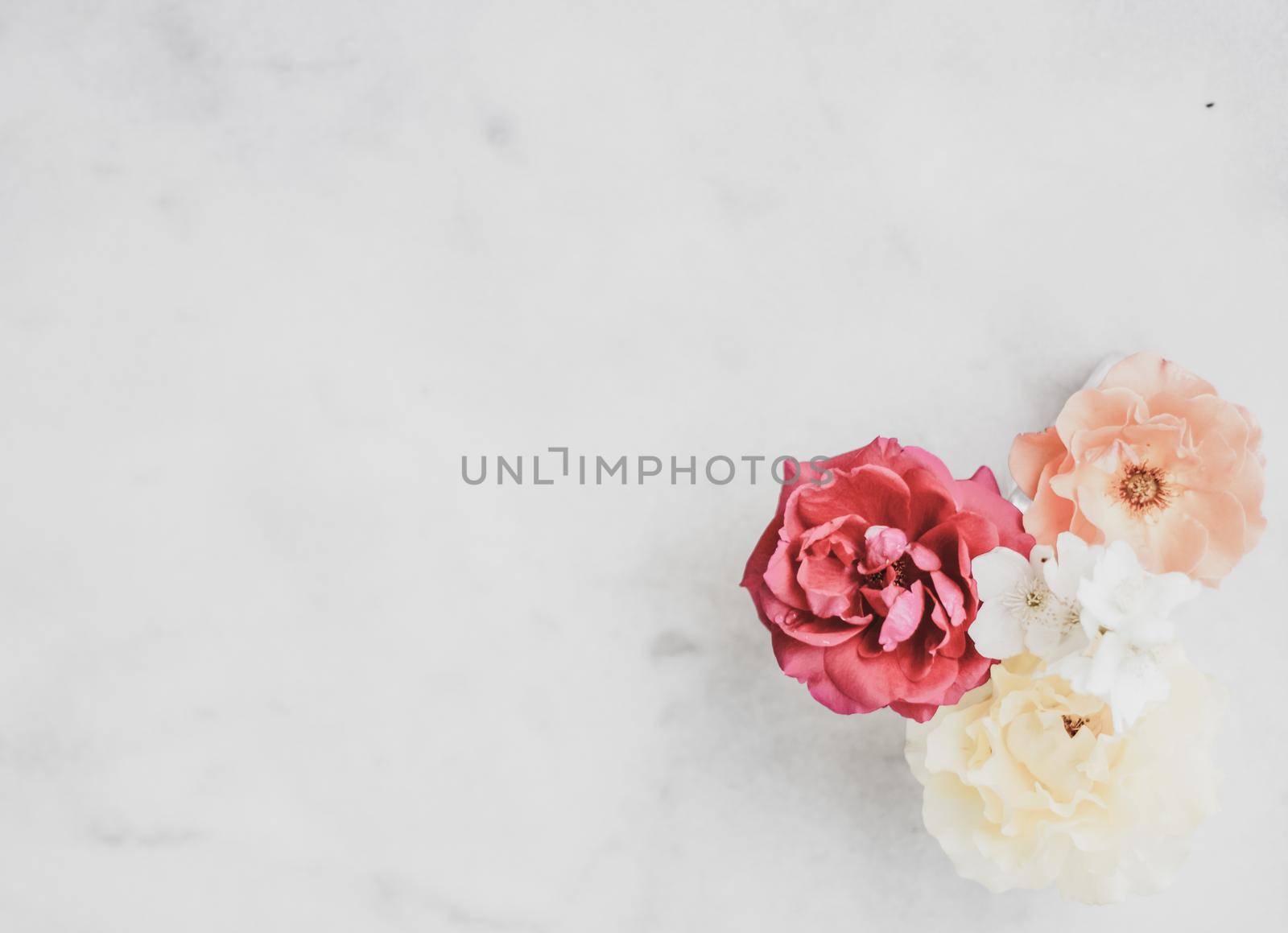 Wedding decor, floral background and beautiful home garden concept - Vintage roses on marble