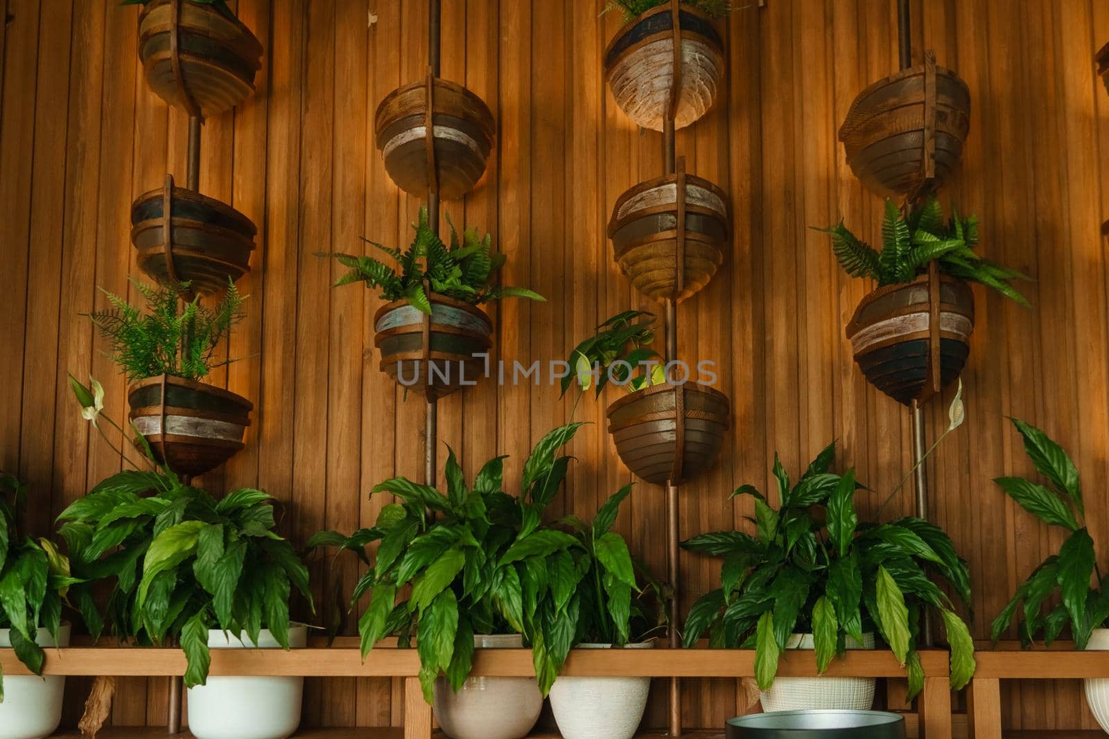 Cafe interior with elements of biophilic design. The concept of biophilia.