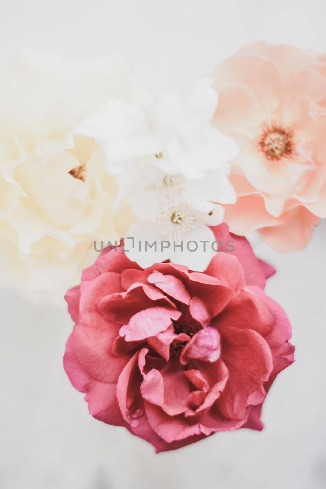 Wedding decor, floral background and beautiful home garden concept - Vintage roses on marble