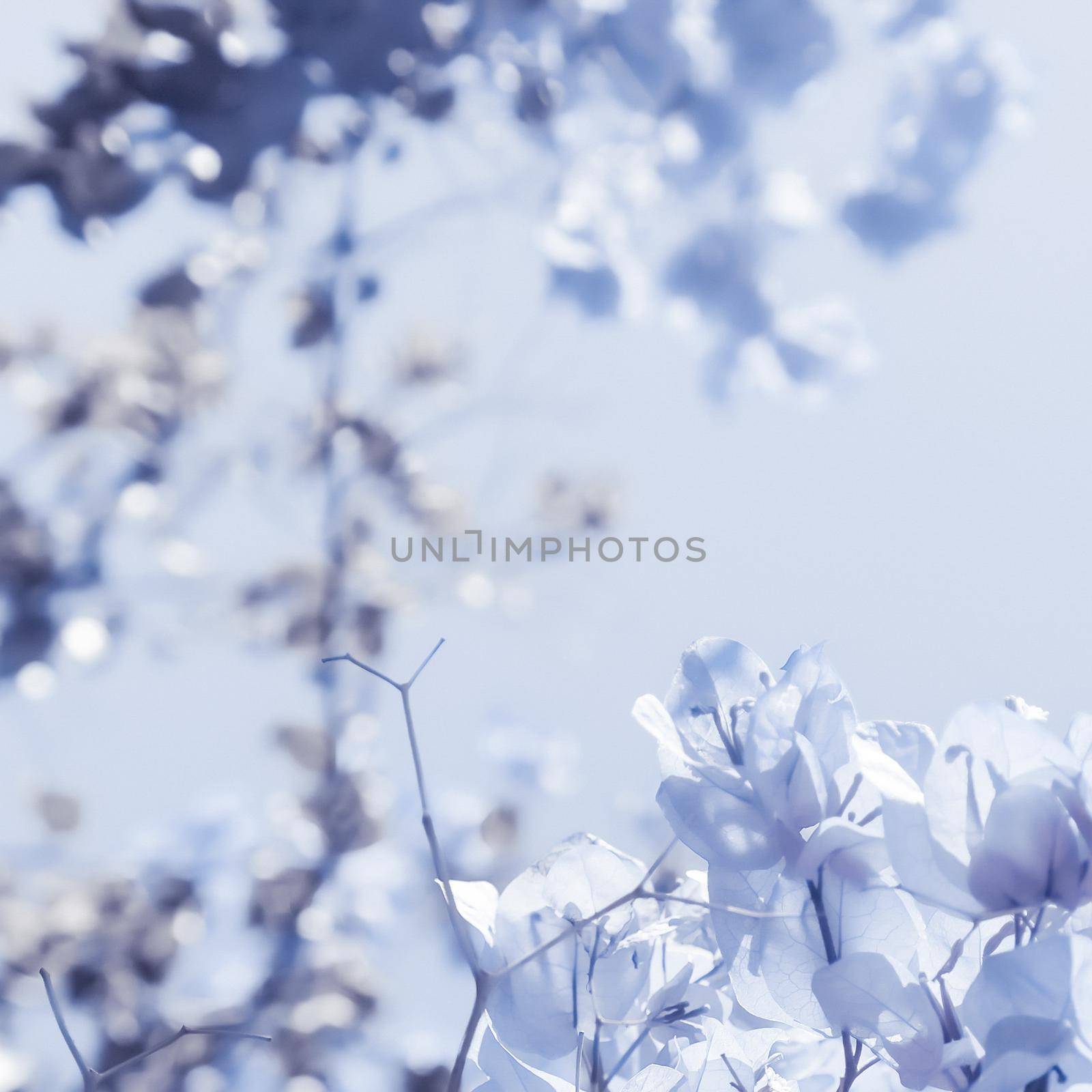 Blue floral composition by Anneleven