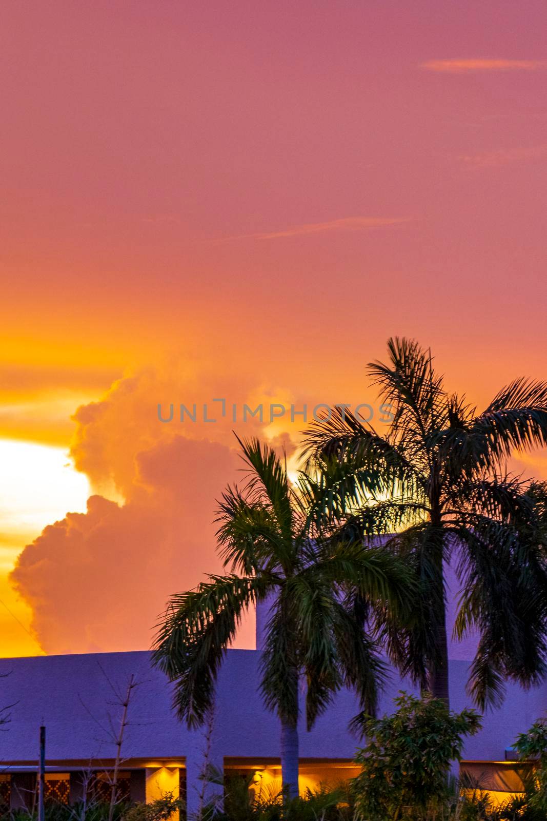 Amazing beautiful golden yellow pink purple blue and violet colorful sunrise sunset with sunbeams at tropical palm tree panorama view in Playa del Carmen Quintana Roo Mexico.