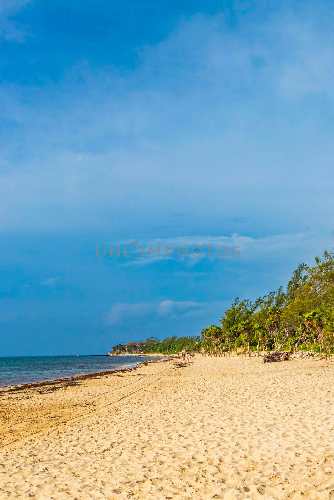 Tropical mexican beach landscape panorama with clear turquoise blue water in Playa del Carmen Mexico.