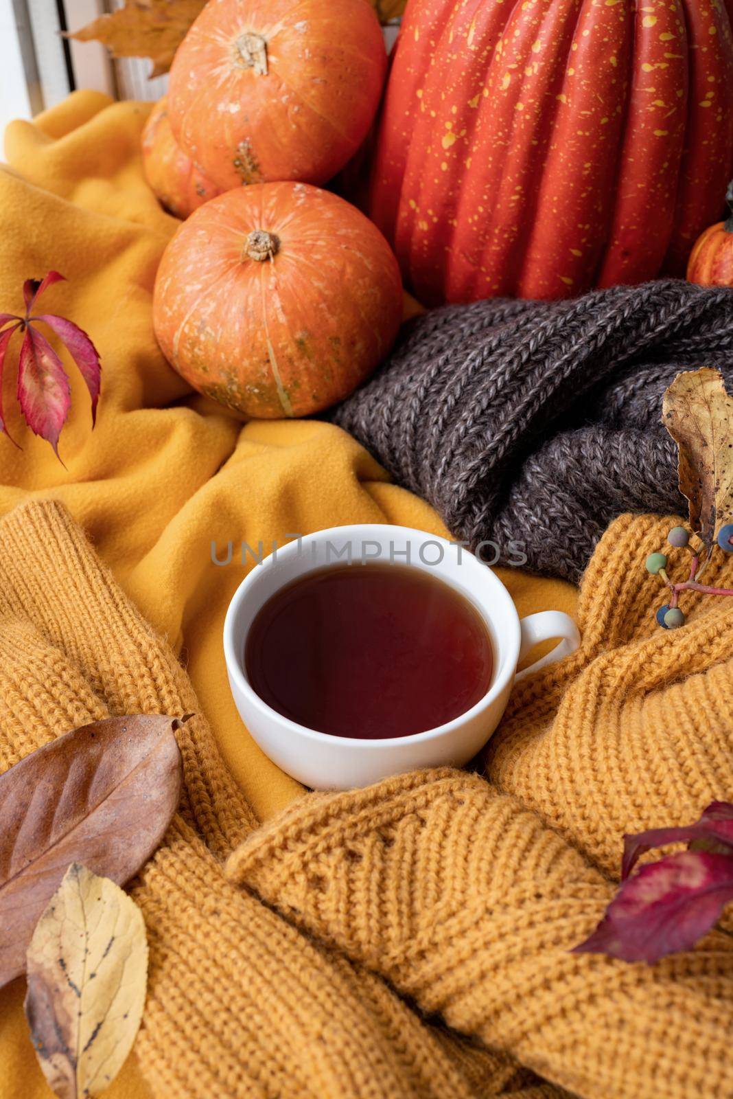 Hello fall. Cozy warm image. Cozy autumn composition, sweater weather. Pumpkins, hot tea and sweaters on window