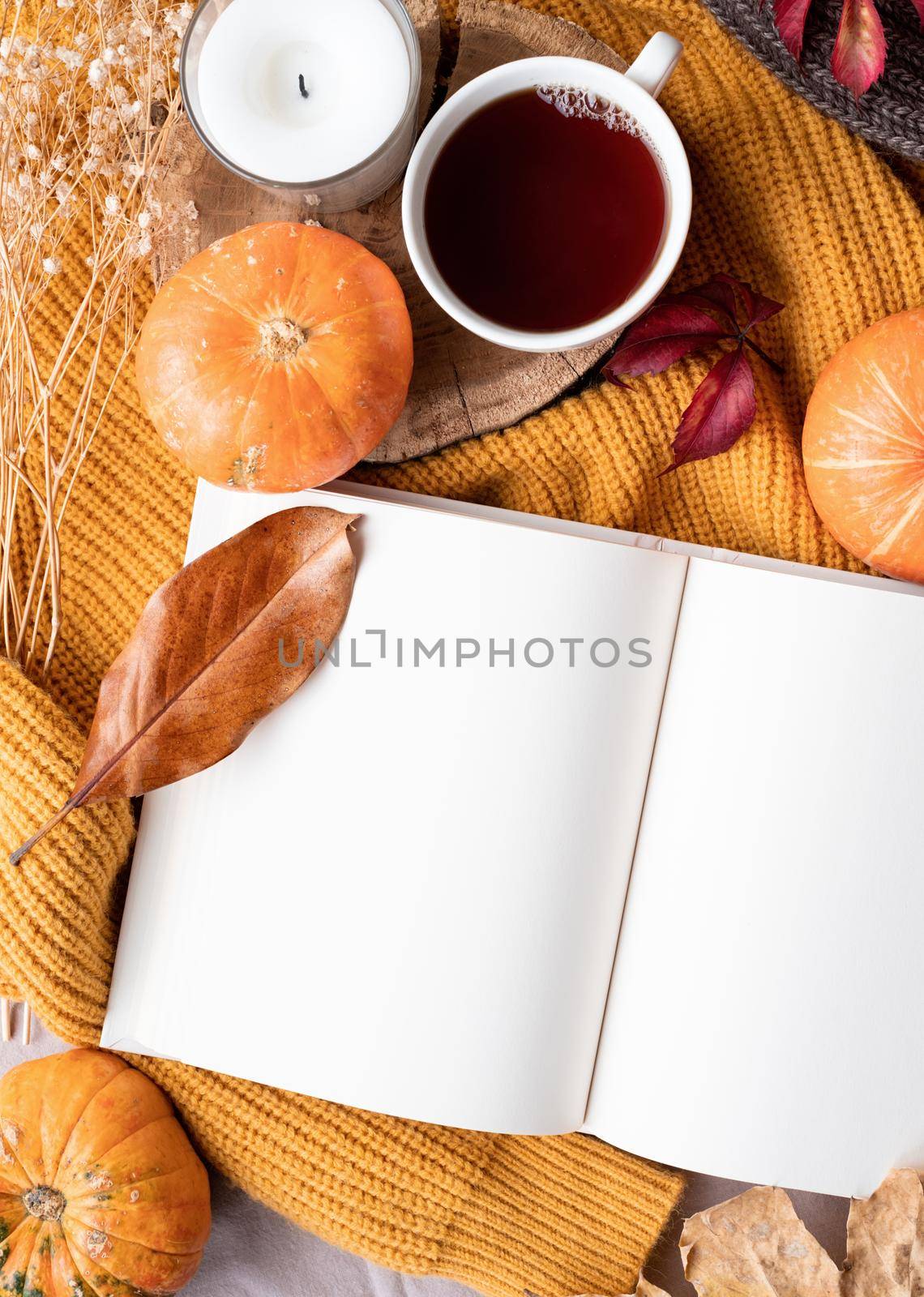 Hello fall. Cozy warm image. Top view opened blank book for mockup design with pumpkins and tea