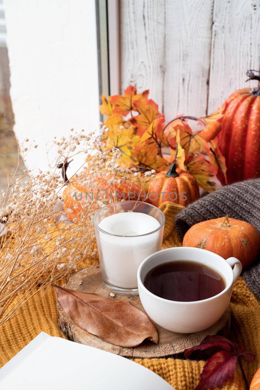 Cozy autumn composition, sweater weather. Pumpkins, hot tea and sweaters on window by Desperada