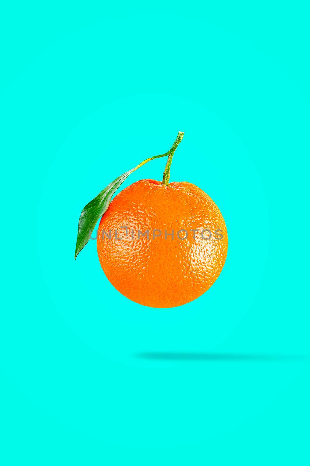 Minimal fruit concept. Whole ane orange on pastel green background.