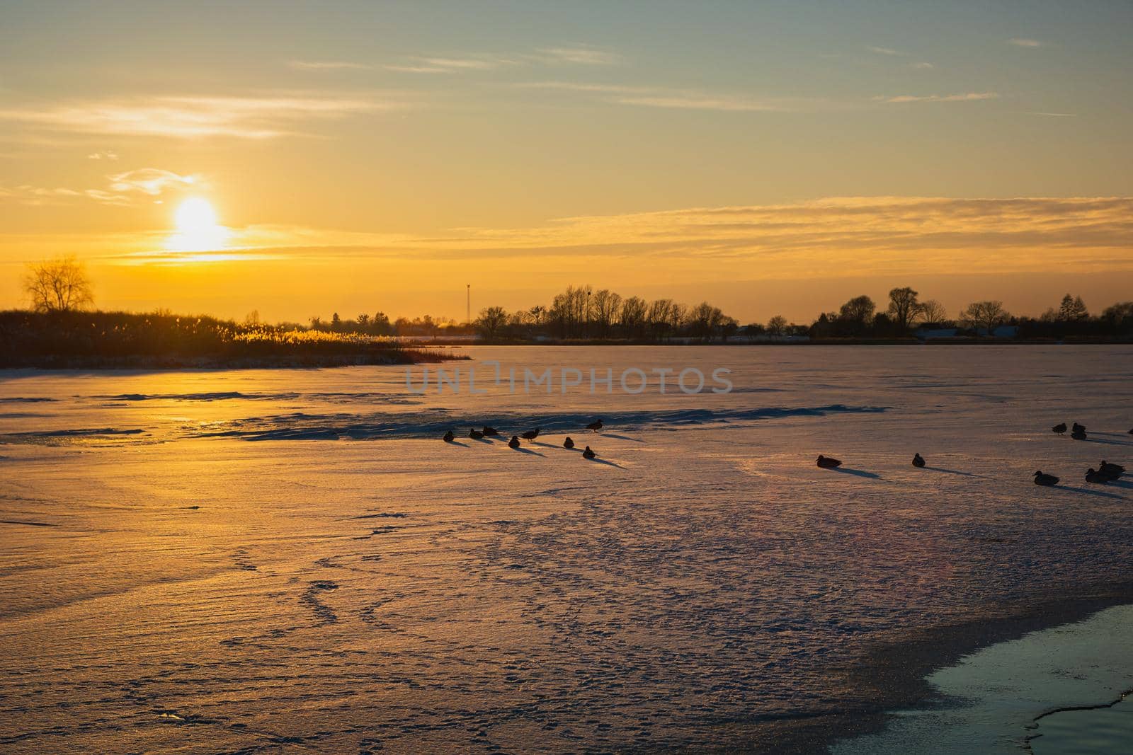 Sunset and snow-covered lake with ducks, winter landscape