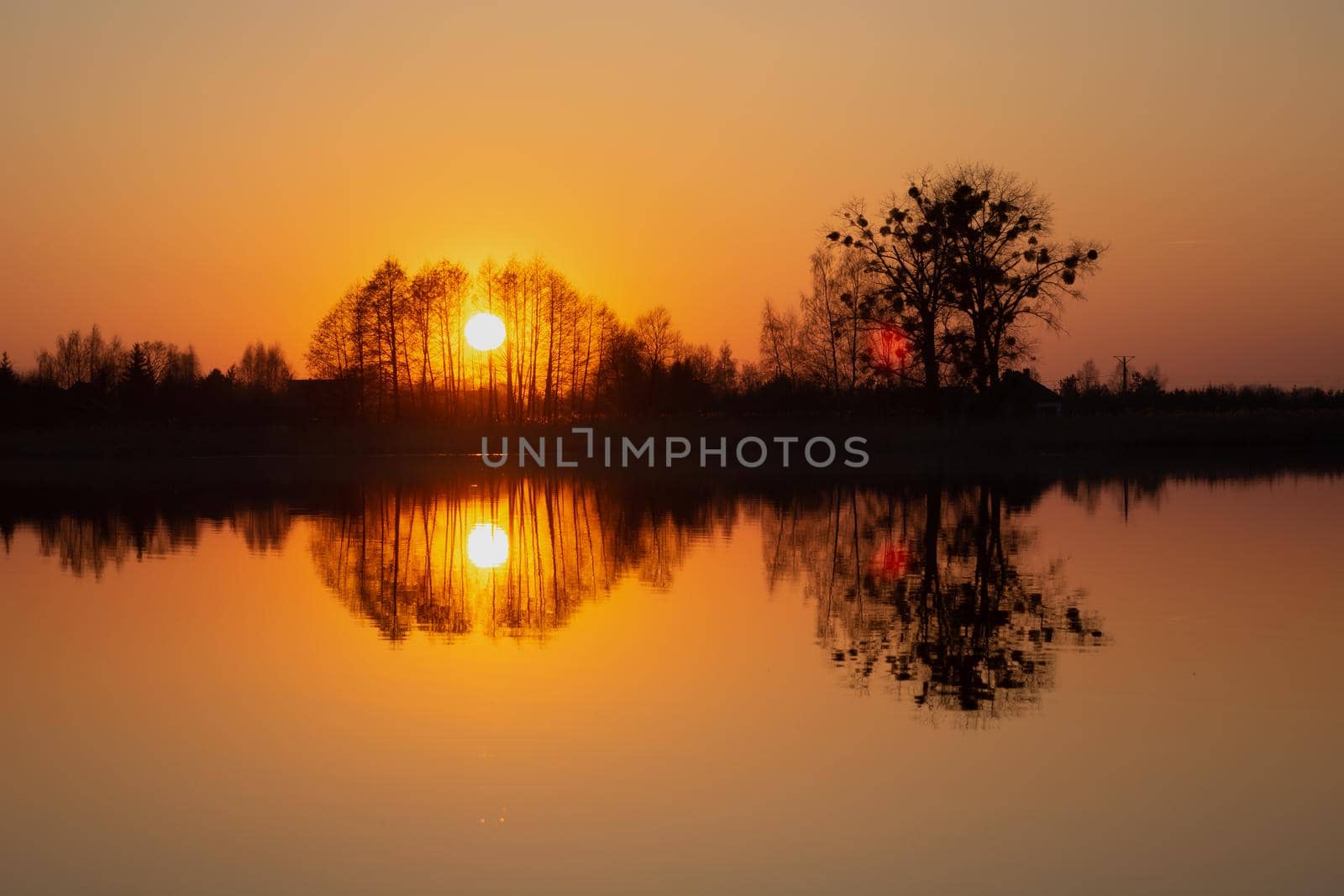 The reflection in the water of the sunset behind the trees, spring evening view