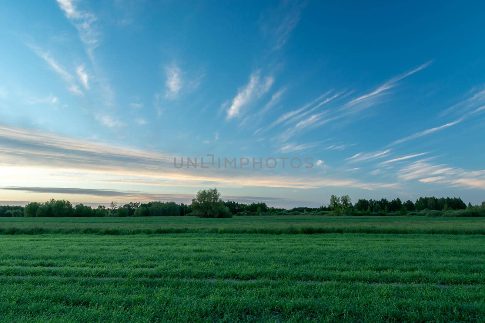 Abstract clouds after sunset over the green field, summer evening