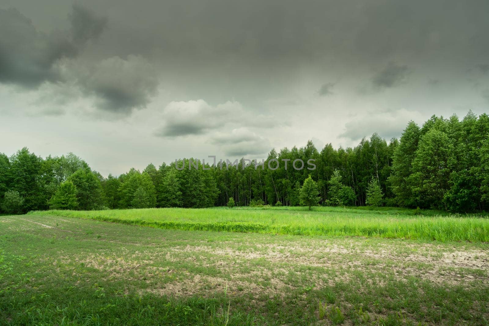 Cultivated fields in front of the forest on a cloudy spring day