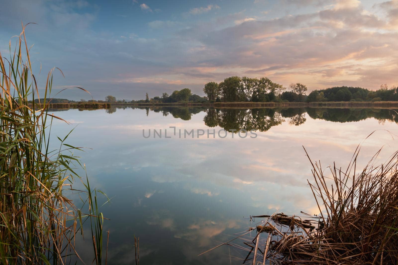 Evening beautiful sky over a calm lake with reeds