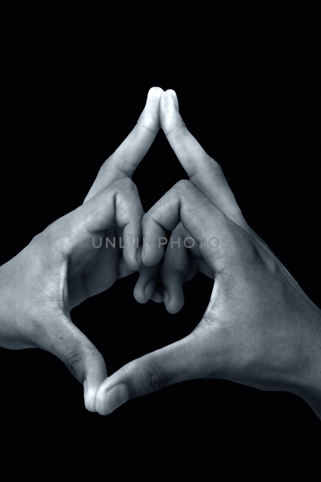 Shot of male hands doing Kalesvara mudra isolated on black background. by mirzamlk