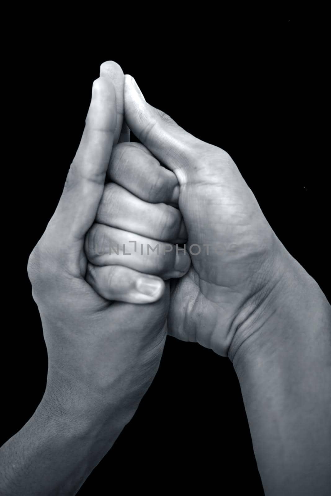 Shot of male hands doing Shankh mudra isolated on black background. by mirzamlk