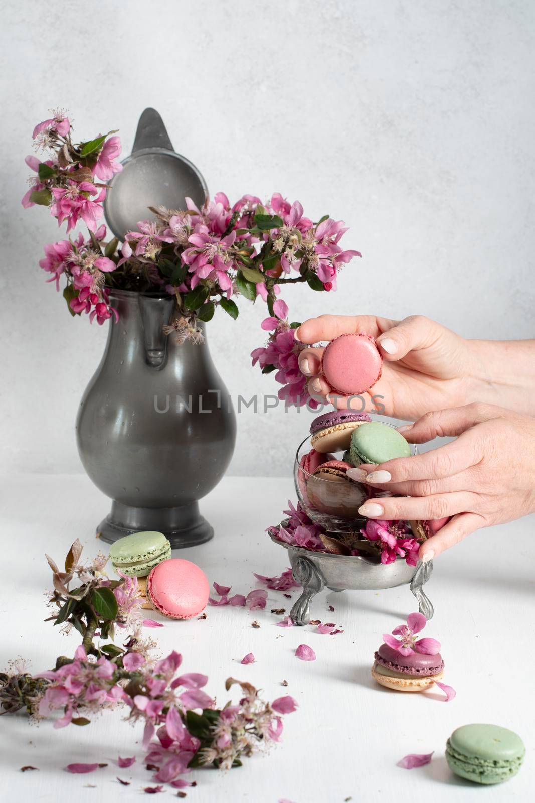 spring still life with colored macaroons and pink apple tree flowers in a pewter vase, colorful sweet food close up. High quality photo