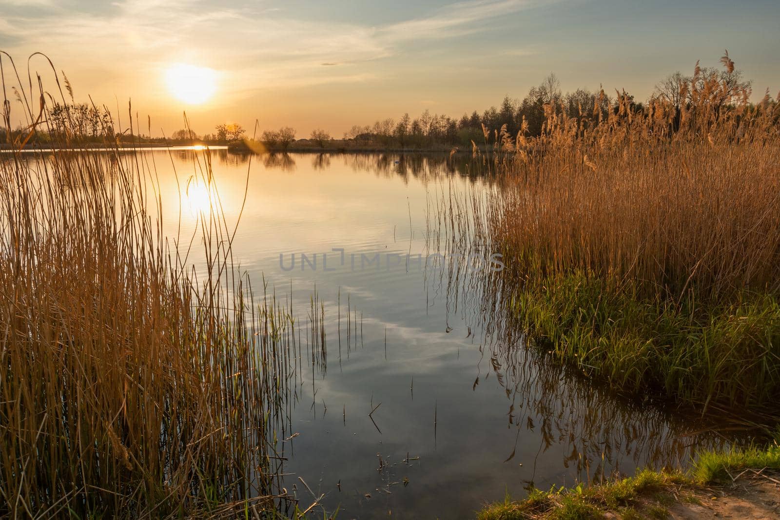 Sunset over a calm lake and high reeds, spring view, eastern Poland