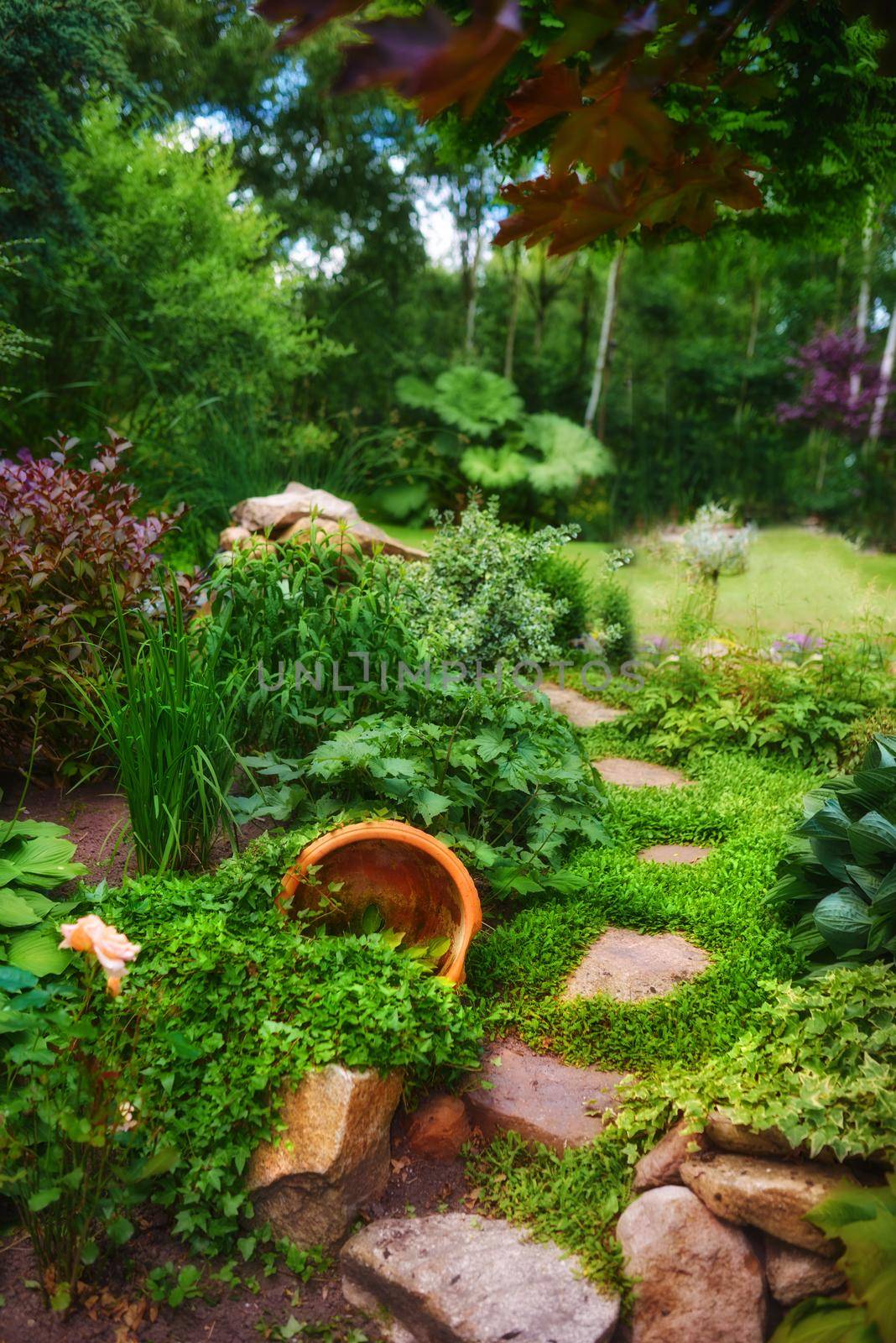 Late summer garden. A panorama photo of the garden in late summer