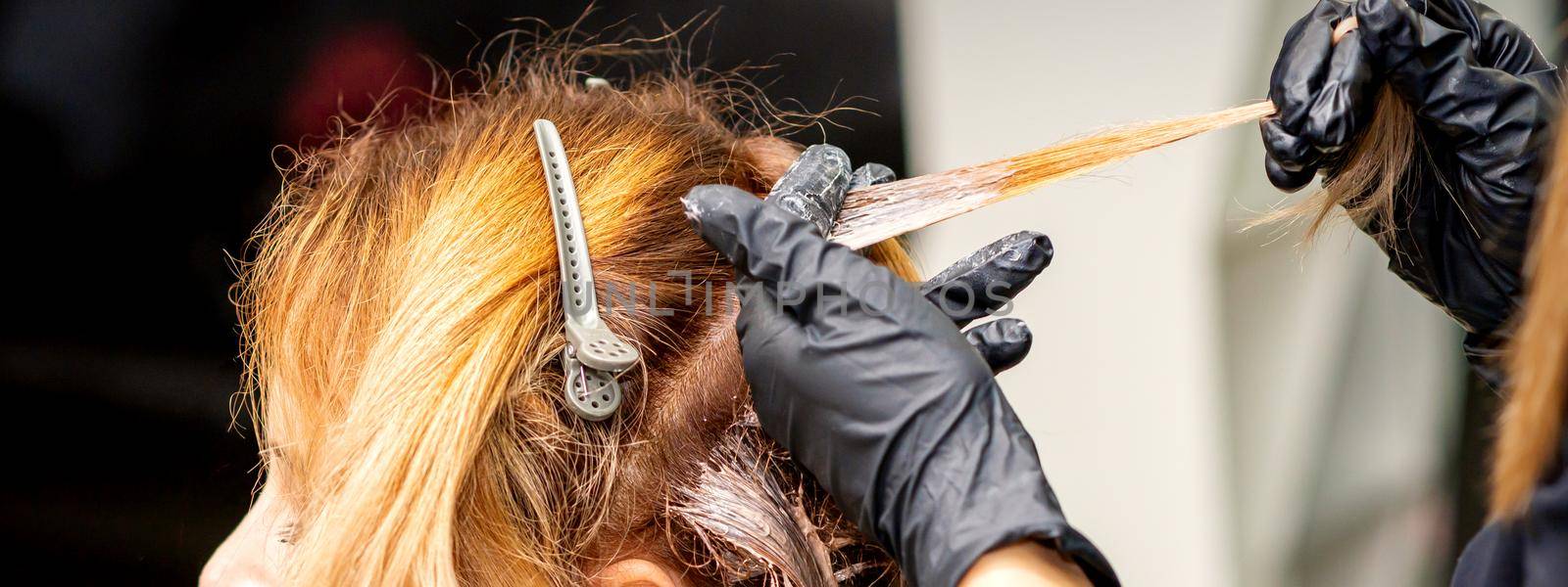 Closeup back view of hairdresser's hands in gloves applying dye to a strand of hair of redhead young woman in a hair salon