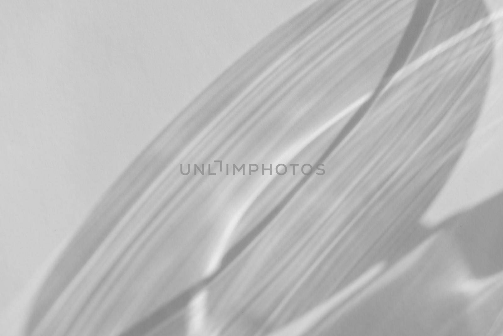 Shadow and light refraction on white wall overlay photo effect, sun rays refracting through glass and prism, blurred caustic effects. Natural light refraction silhouette on blank surface. by photolime