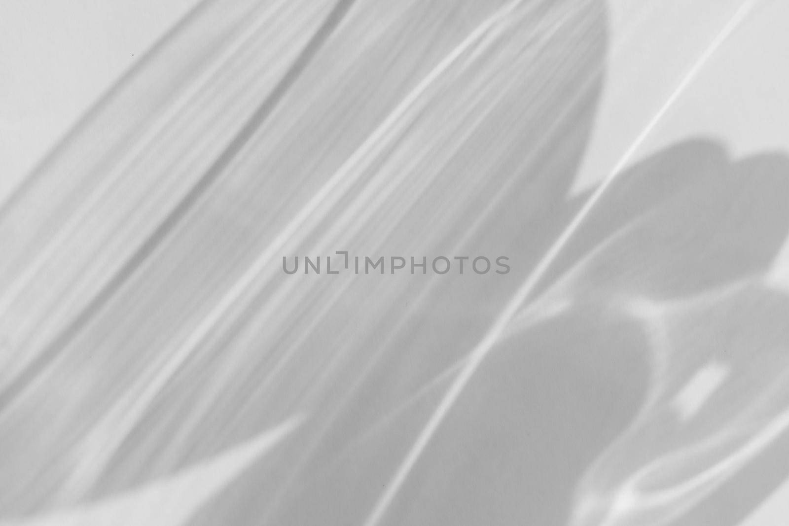 Shadow and light refraction on white wall overlay photo effect, sun rays refracting through glass and prism, blurred caustic effects. Natural light refraction silhouette on blank surface. by photolime