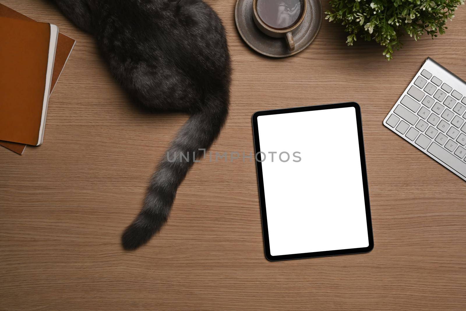 Above view cute cat, mock up digital tablet and books on wooden table. by prathanchorruangsak