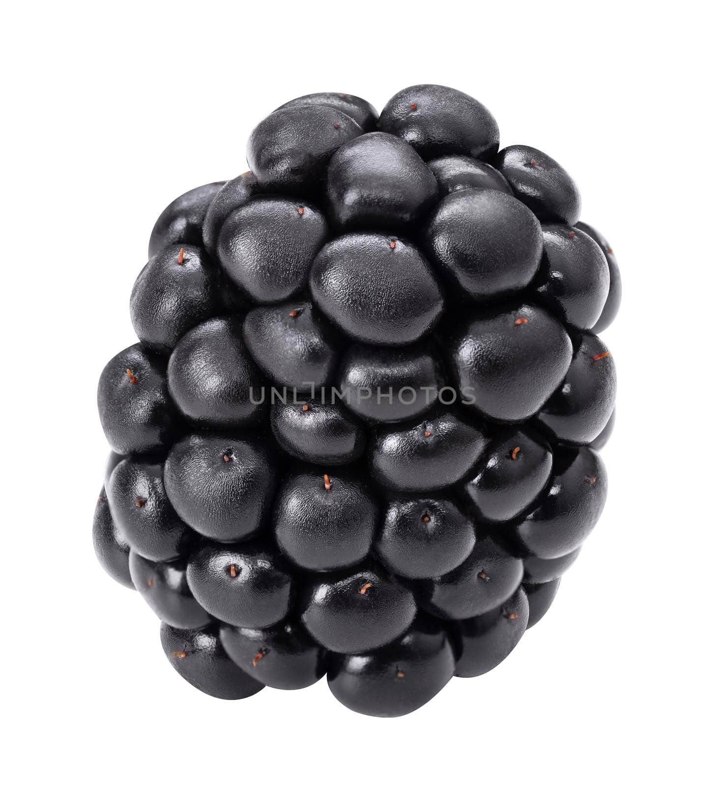 Blackberry macro isolate studio shot. Black berry isolated on white background. Dewberry closeup for packaging design. Whole single mulberry close up. Healthy organic food brambleberry by photolime