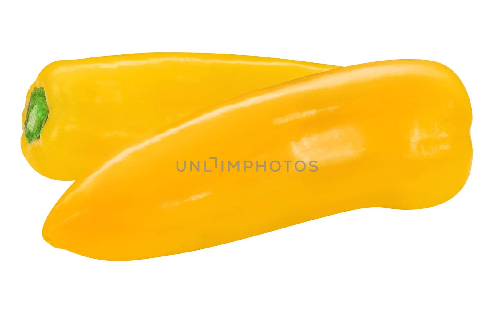 Two yellow pepper ramiro. Peppers on isolated on white background. Macro, studio, front view