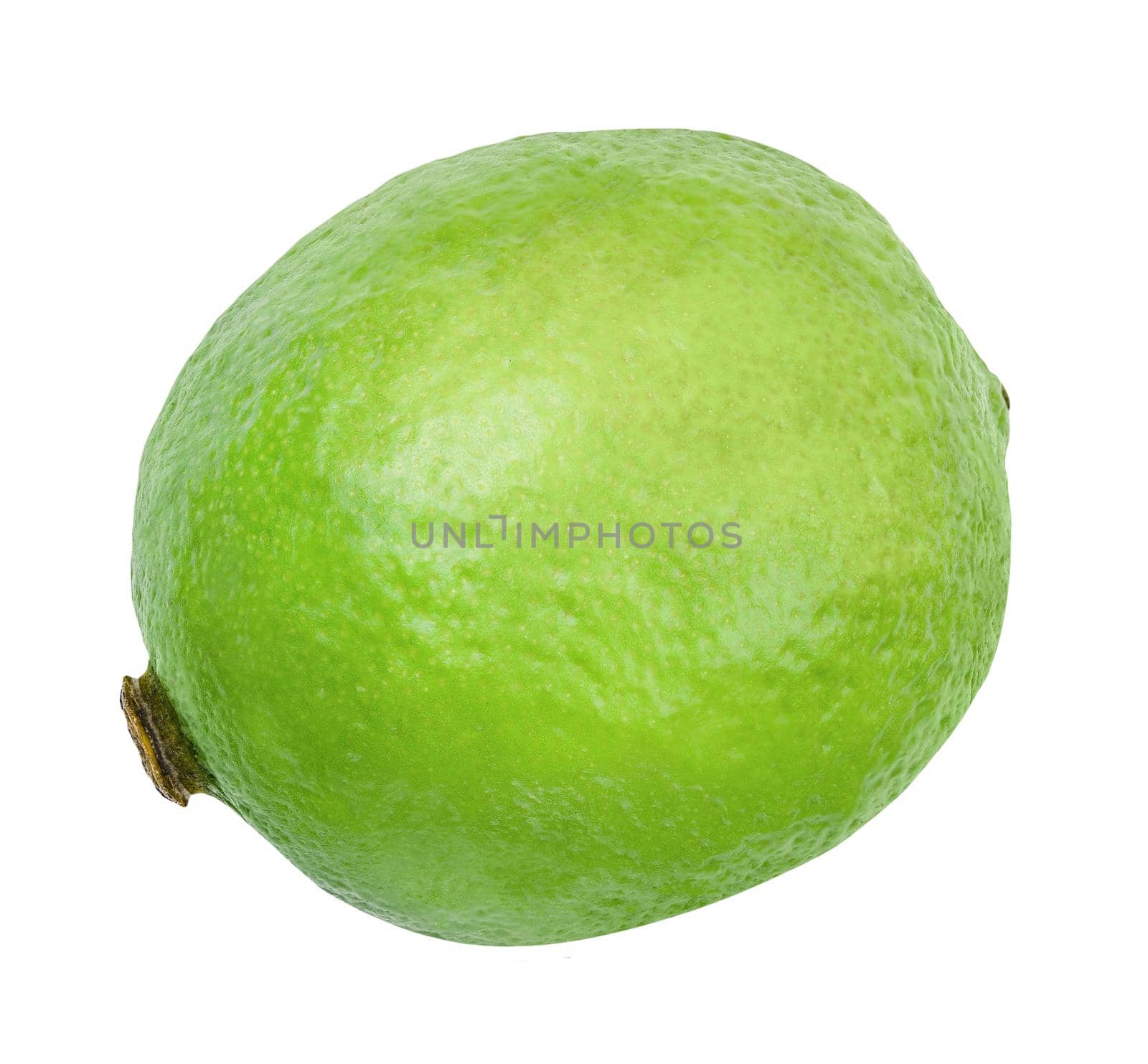 Lime closeup isolated on white background. Whole fresh lime front view. Healthy fruit food background by photolime