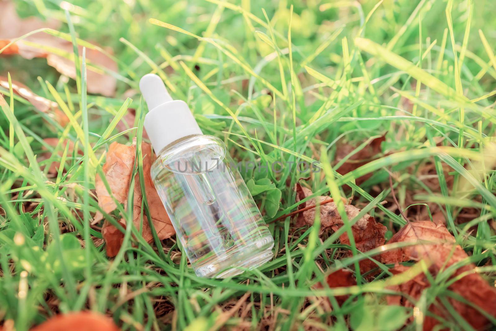 Bottle with serum on colorful green grass with yellow autumn leaves background. Beautiful fall foliage. Natural organic cosmetic product. Cosmetics beauty concept. Top view.