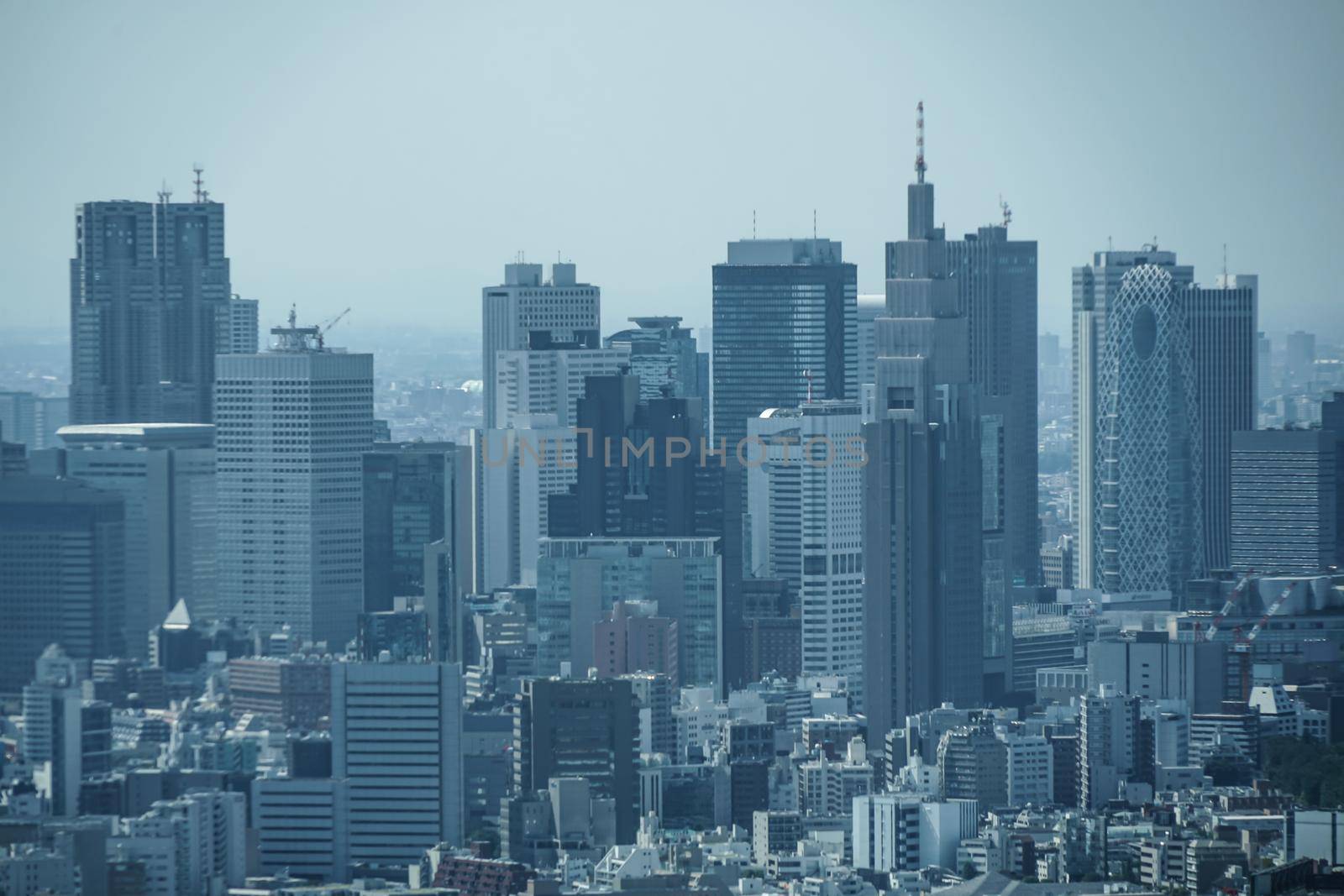 Shinjuku landscape from Roppongi Hills Observatory. Shooting Location: Tokyo metropolitan area