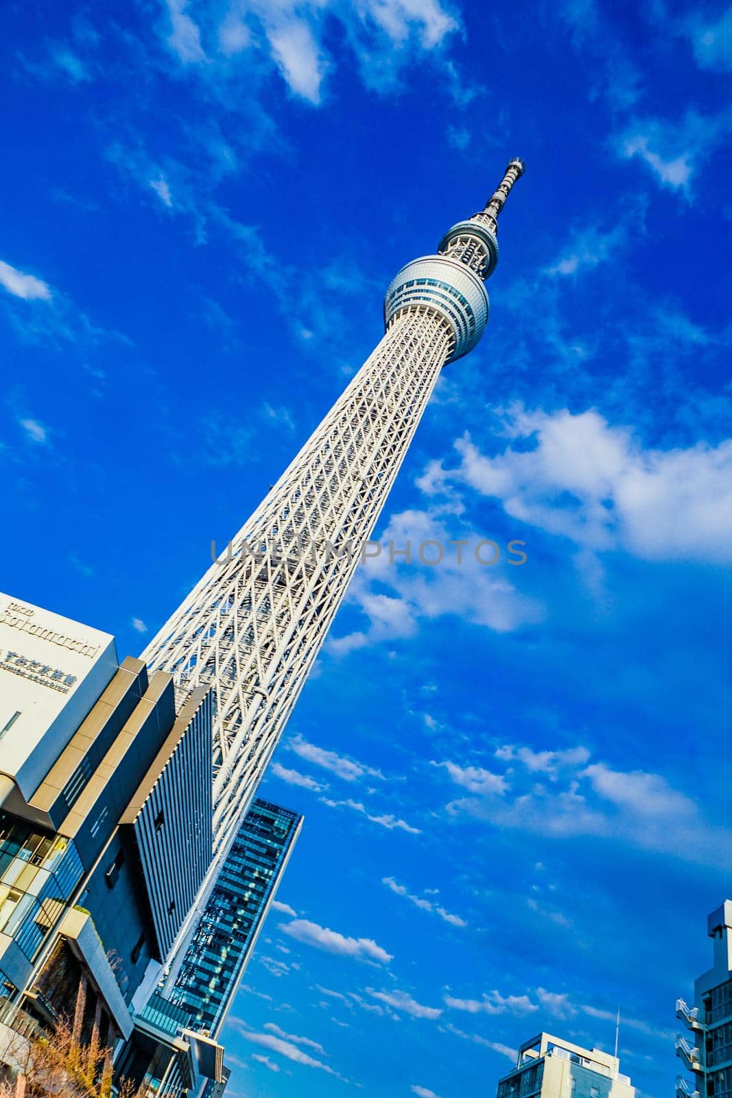 Tokyo Sky Tree and fine sky sky. Shooting Location: Tokyo metropolitan area