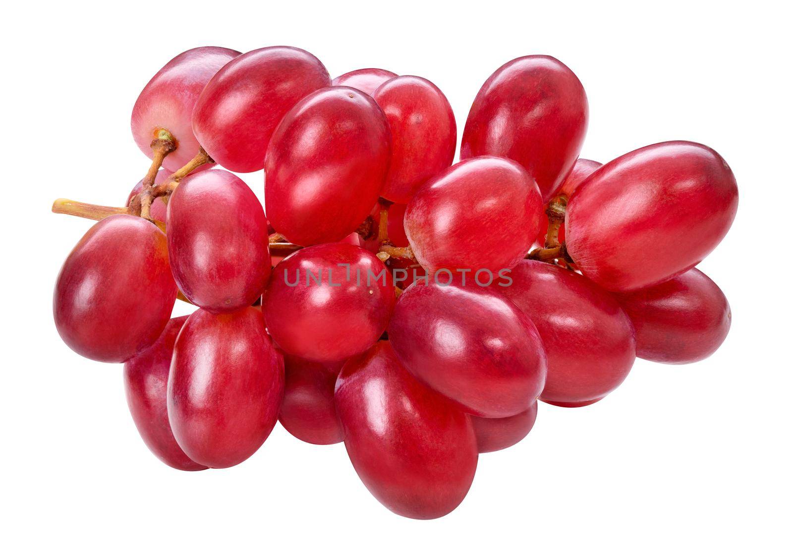 Red ripe grape cluster isolated on white background. Purple fresh grape bunch, autumn composition. Macro, studio shot, front view. by photolime