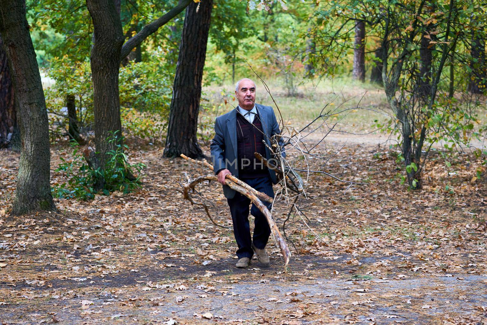 An elderly cheerful man cleans the forest park from branches.Collects firewood by jovani68