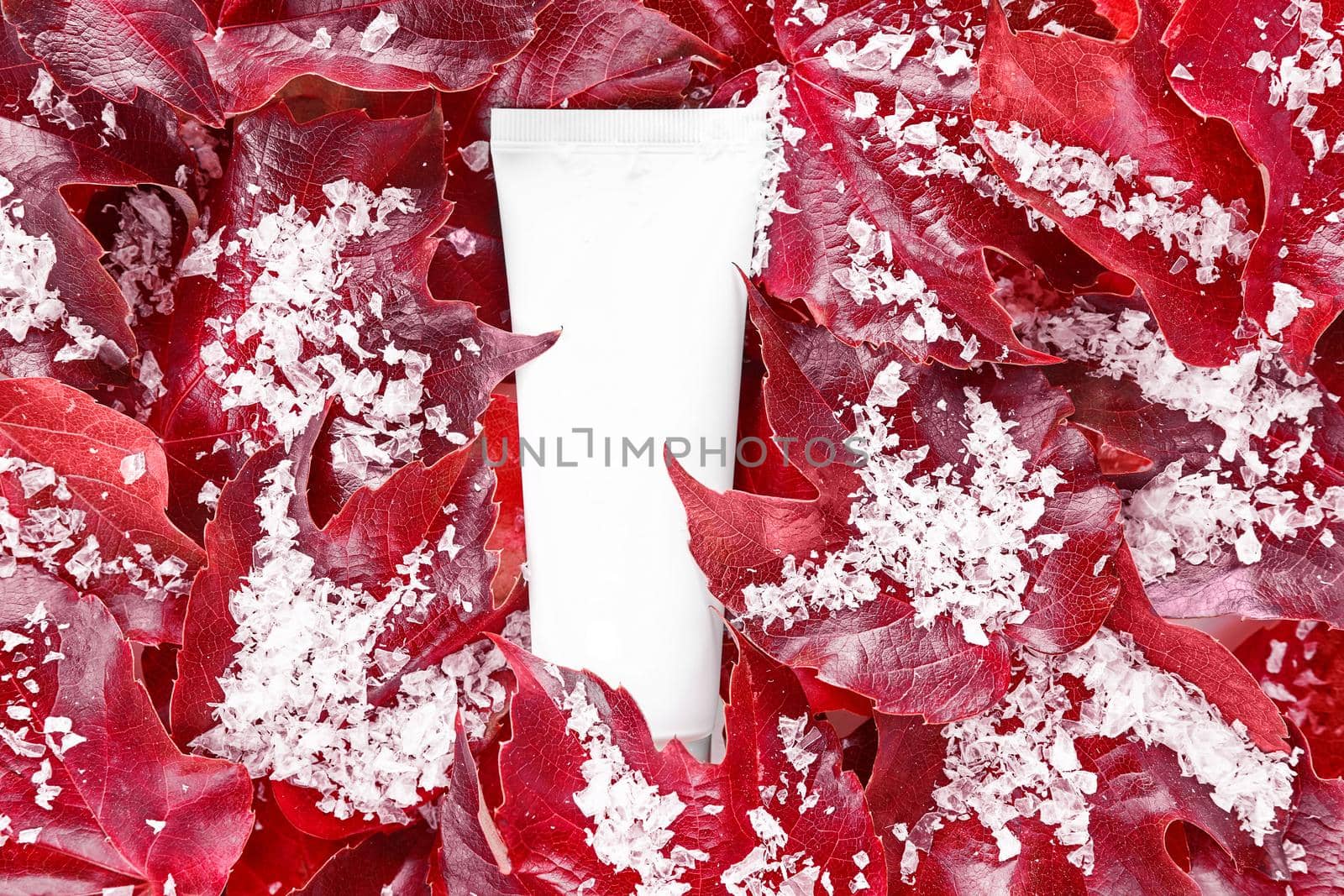 Beauty spa medical skincare, lotion bottle packaging product on snowy red grape leaves background. Mock up cosmetic tube. Moisturizer, shampoo, hand cream, toothpaste. . by photolime