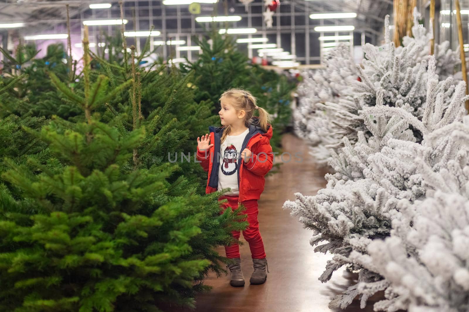 Small girl of four years old chooses a Christmas tree in the market.